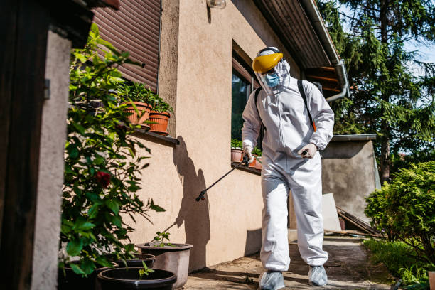 Wildlife Control Services in Ville Platte, LA
