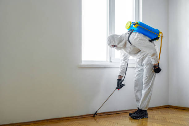 Best Pest Prevention Services  in Ville Ptte, LA