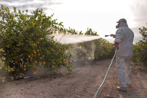 Best Pest Control for Businesses  in Ville Ptte, LA