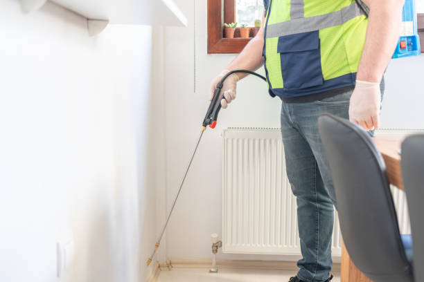 Best Residential Pest Control  in Ville Ptte, LA