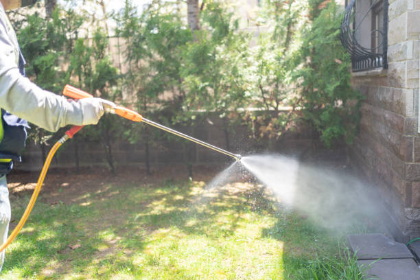 Best Best Pest Control Near Me  in Ville Ptte, LA