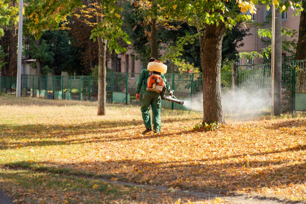 Best Exterminator Services  in Ville Ptte, LA