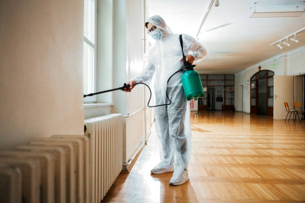 Best Local Pest Control Services  in Ville Ptte, LA