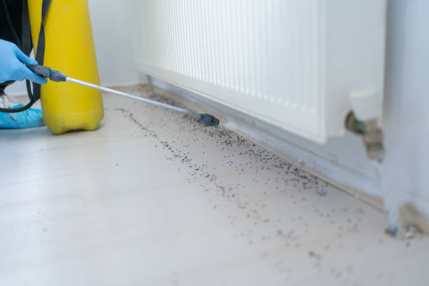 Best Pest Control Cost  in Ville Ptte, LA